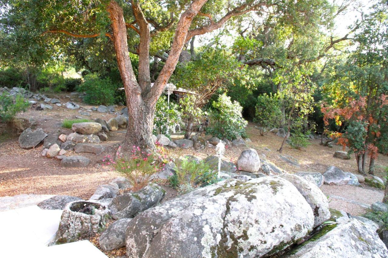 Residence Les Jardins De Sainte-Lucie "Piscine Chauffee" Buitenkant foto